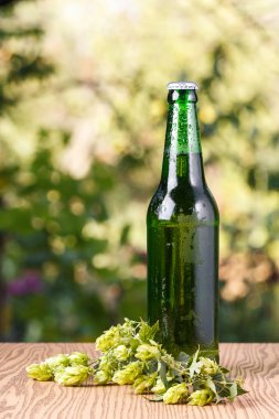 Bir bardak soğuk bira.