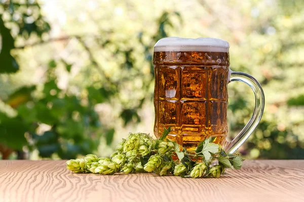 Ein Glas kaltes Bier — Stockfoto