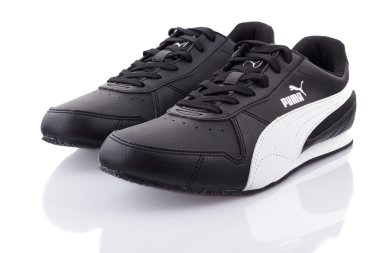 Puma fieldste