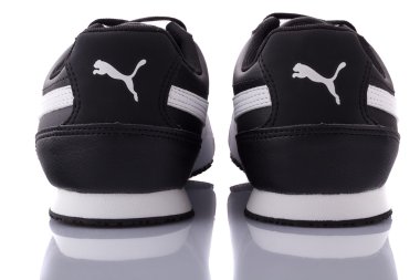 Puma fieldste