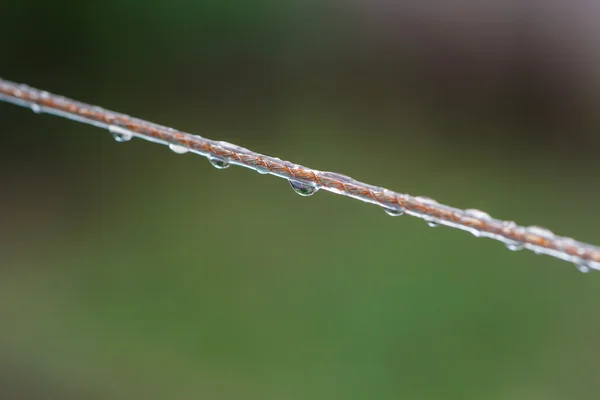 Kapky deště — Stock fotografie