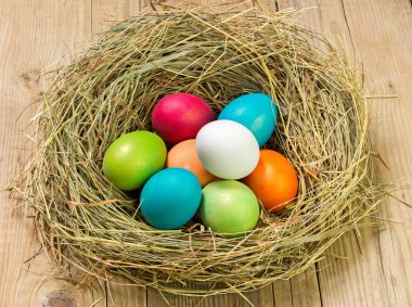 Saman yuvadaki yumurta ve