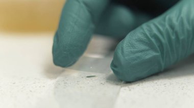 Bilim adamları ellerinde mikroskop kaydırağıyla lastik eldivenlerle makro çekim yapıyorlar.