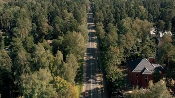 Weg op het platteland drone vliegen over, asfaltweg omgeven door groene bomen, voorstedelijk gebied — Stockvideo