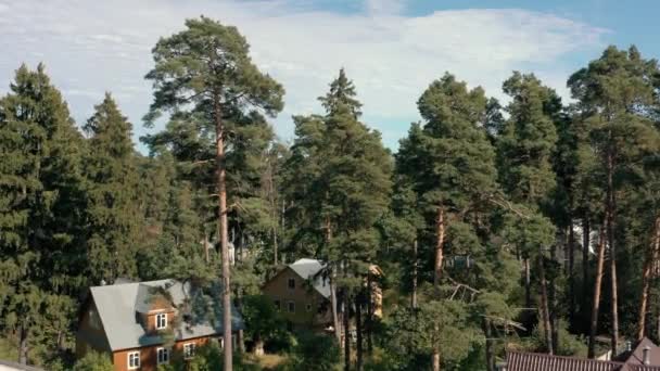Houses in the pine forest in suburban area, drone tilt up shot in summer under bright sky — Stock Footage Houses in the pine forest in suburban area, drone tilt up shot in summer under bright sky Video Clip