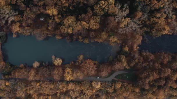 Drone shot van een klein meer in de herfst bos in het stadspark — Stockvideo