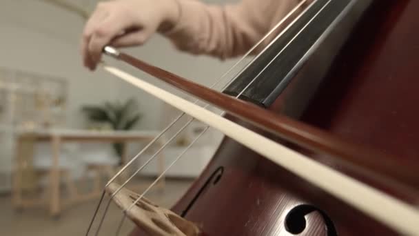 Jonge vrouw muzikant met strik in de hand cello spelen thuis — Stockvideo