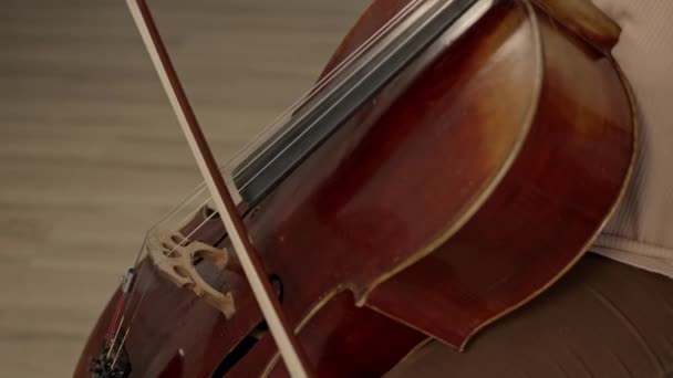 Jonge vrouw muzikant met strik in de handen cello spelen thuis — Stockvideo