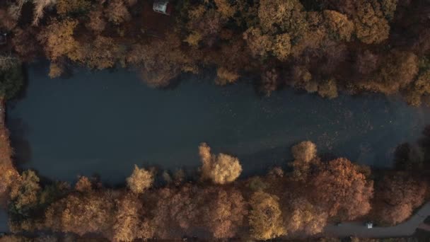 Dron strzał z małego jeziora w jesiennym lesie w parku miejskim — Wideo stockowe