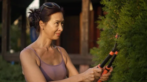 Donna asiatica con tagliasiepi taglio cespuglio verde, prendersi cura del giardino — Foto Stock