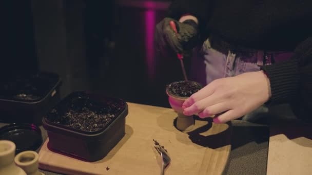 Mujer preparando un cuenco para una cachimba en el bar, luz oscura — Vídeos de Stock