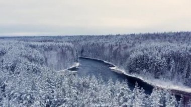 İnsansız hava aracı kar ormanları ve nehirler üzerinde uçuyor, ağaçlar beyaz gökyüzünün altında karla kaplı.