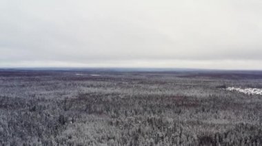 İnsansız hava aracı kar ormanlarının üzerinde uçuyor, ağaçlar beyaz gökyüzünün altında karla kaplı.
