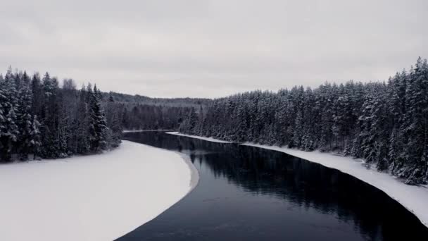 Drone pan shot of snow forest and river, trees in snow under white sky — Stock Video