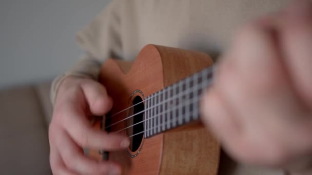 Musicista con ukulele in mano, primo piano girato — Video Stock