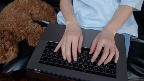 女性の膝の上にラップトップのキーボードを入力する手,ソファの上で寝て犬,トップビュー — ストック動画
