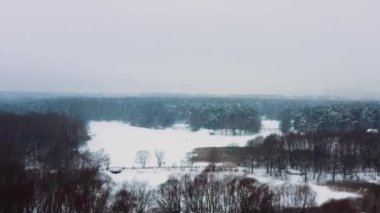 Parktaki ağaçların tepesinin havadan görüntüsü, görüntüyü yakınlaştır