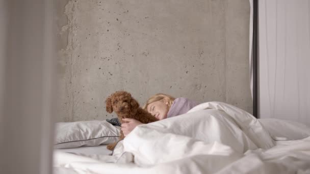 Ung kvinna somnar med sin valp på sängen — Stockvideo