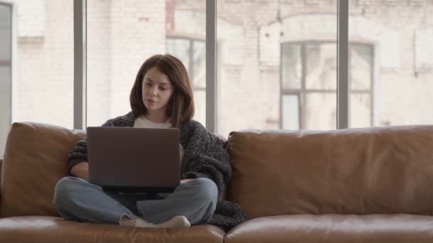Businesswoman udělat video hovor s notebookem sedí na pohovce v blízkosti okna — Stock video