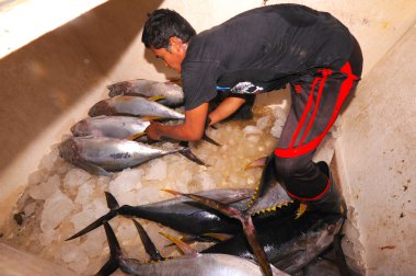 Semporna, Malezya - 6 Mart 2015: tanımlanamayan bajau adam yükün daha
