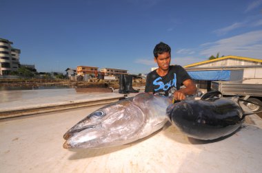 Semporna, Malezya - 6 Mart 2015: tanımlanamayan bajau adam yükün daha