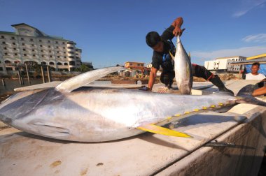 Semporna, Malezya - 6 Mart 2015: tanımlanamayan bajau adam yükün daha