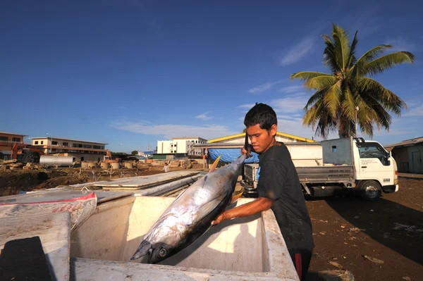 Semporna, Maleisië - 6 maart 2015: Unidentified bajau man loadi — Stockfoto