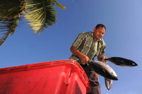 SEMPORNA, MALAYSIA- 6 DE MARZO DE 2015: Unidentified bajau man loadi —  Fotos de Stock