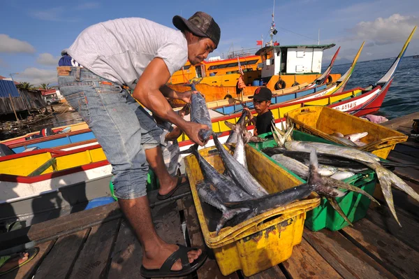 Semporna, Maleisië - 6 maart 2015: Unidentified bajau man loadi — Stockfoto