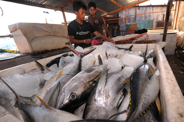 SEMPORNA, MALÁSIA- MARÇO 6, 2015: Bajau homem loadi não identificado Imagem De Stock