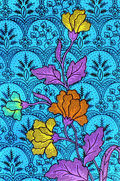 Красавица искусства малайзийская и индонезийская
