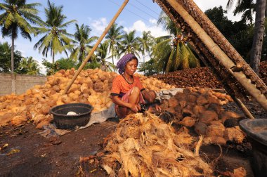 Lombok, Endonezya-Haziran 10,2015: belirsiz yerel kadın soyma