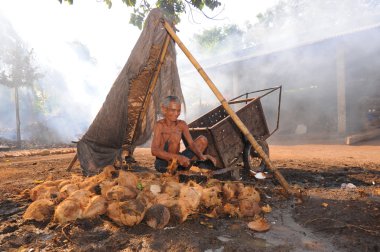 Lombok, Endonezya-Haziran 10,2015: tanımlanamayan yerel adam c kabuk soyma