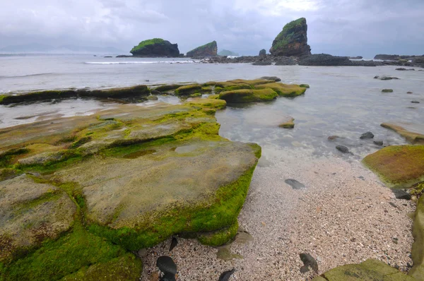 Salida del sol en la playa rocosa . — Foto de Stock