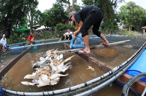 PAHANG, MALAYSI 22 dicembre 2013: Uomo non identificato con il suo — Foto Stock