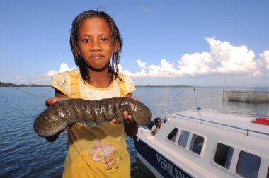SEMPORNA, MALAYSIA- MAY 05, 2015 : Unidentified bajau girl with her sea cucumbers in Semporna, Malaysia. Bajau people eat sea cucumber as one of their traditional delicious cuisine. clipart