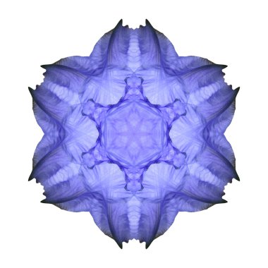 Beyaz arka plan üzerinde izole çiçek mandala