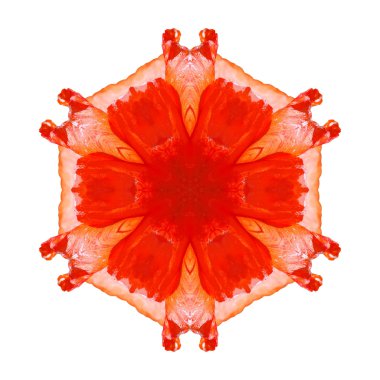 Beyaz arka plan üzerinde izole çiçek mandala