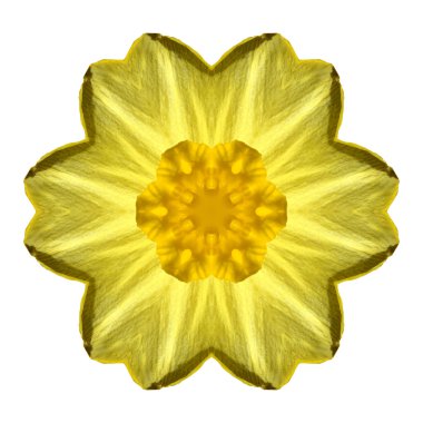 Beyaz arka plan üzerinde izole çiçek mandala