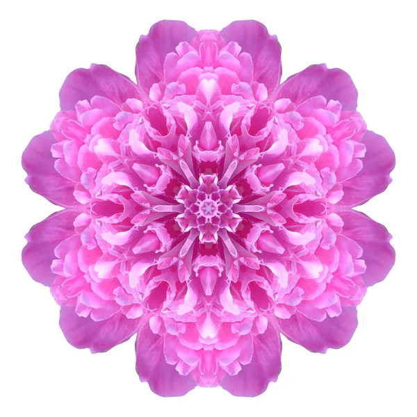 Flower mandala isolated on white background — Stock Photo, Image