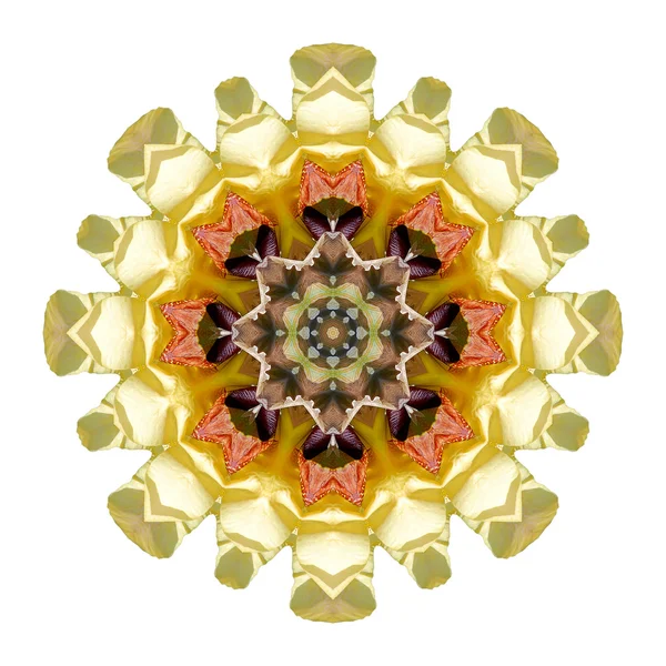 Mandala flor aislada sobre fondo blanco — Foto de Stock