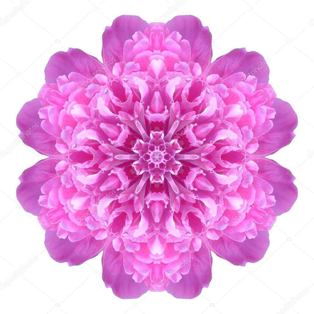 Flower mandala isolated on white background