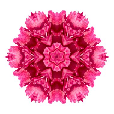 Beyaz arka plan üzerinde izole çiçek mandala