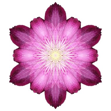 Beyaz arka plan üzerinde izole çiçek mandala