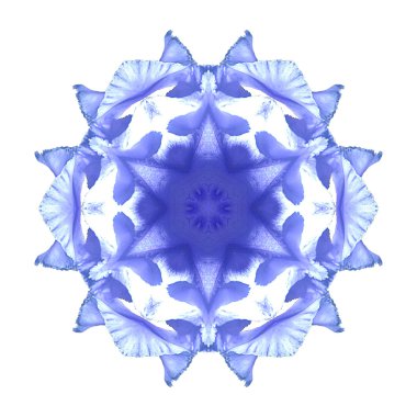 Beyaz arka plan üzerinde izole çiçek mandala