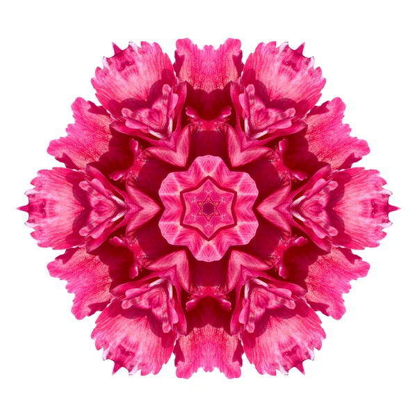 Flower mandala isolated on white background — Stock Photo, Image