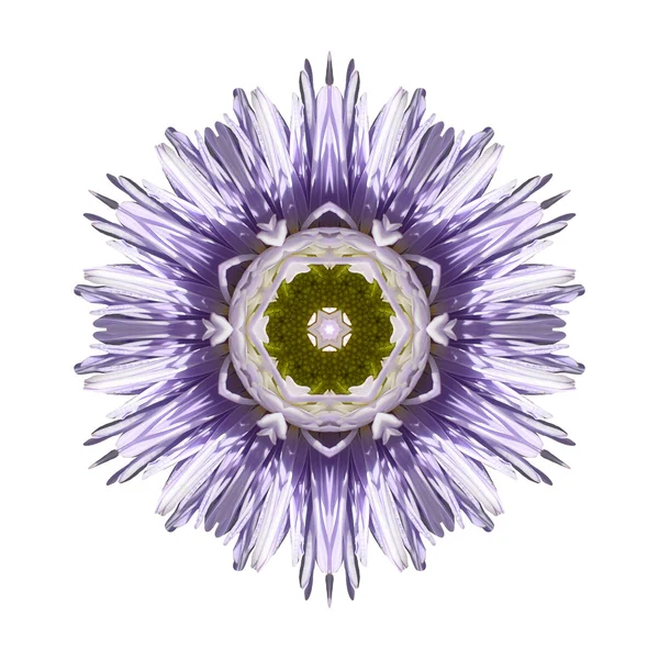 Flower mandala isolated on white background — Stock Photo, Image