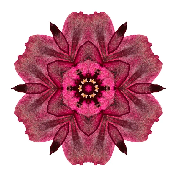 Beyaz arka plan üzerinde izole çiçek mandala