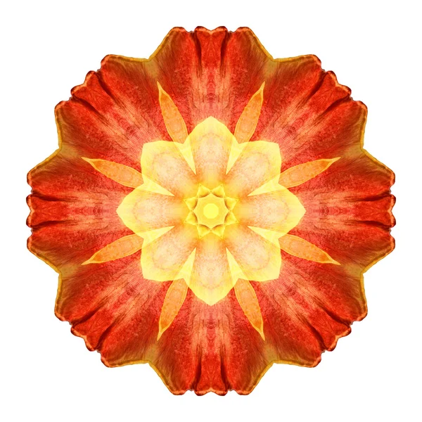 Beyaz arka plan üzerinde izole çiçek mandala — Stok fotoğraf
