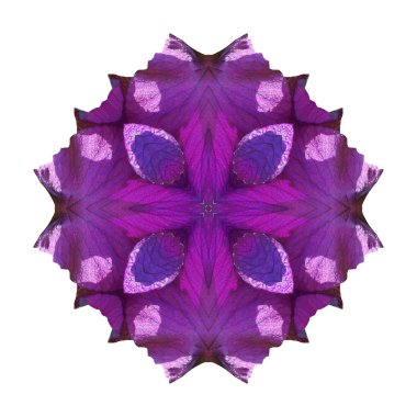 Beyaz arka plan üzerinde izole çiçek mandala